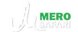 Eco Mobility Logo